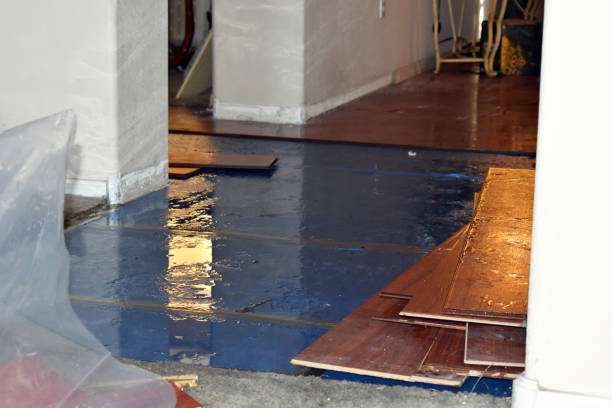 Professional Emergency Water Damage Restoration technician working in New Boston, TX